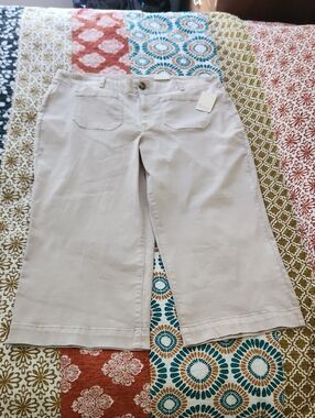 Nurture by Westbound Women Neutral Wide Leg Crop Pants Size 22W